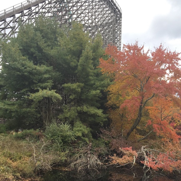 Meet your Posher, Joyce - Picture 1 of 1